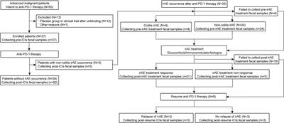 Gut microbiota composition in patients with advanced malignancies experiencing immune-related adverse events